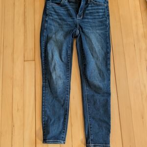 American Eagle Outfitters Dark Blue Cropped Skinny Jeans